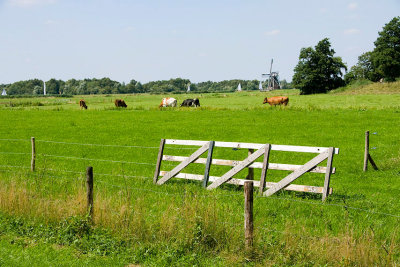 pasture