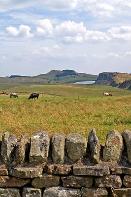 fragment of Hadrian's wall