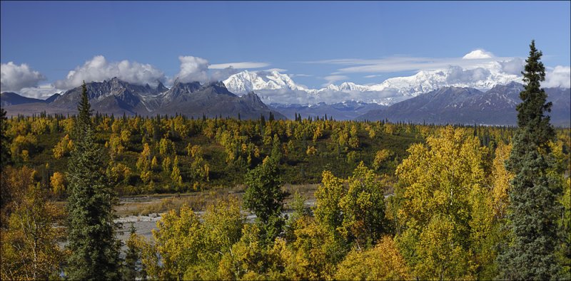 Denali Panorama