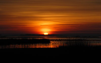 Sunrise @ Blackwater NWR