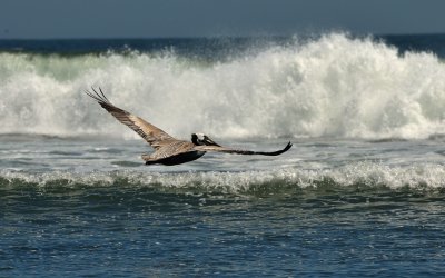 Heading Out to Sea