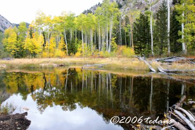 Beaver pond along Cottonwood Pass