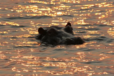 Victoria Falls Zimbabwe Gallery