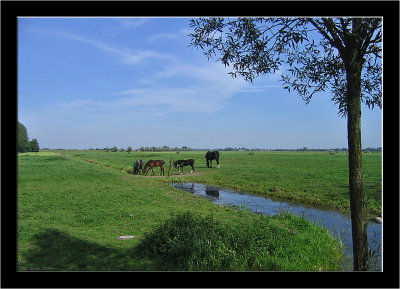 Walking in Woerden003.jpg
