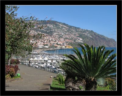 Madeira_Funchal_03.jpg