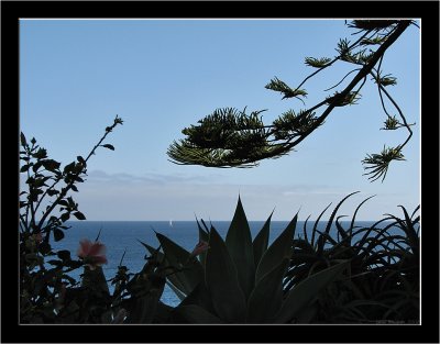 Madeira_Funchal_04.jpg