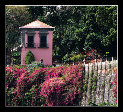 Madeira_Funchal_09.jpg