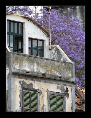 Madeira_Funchal_15.jpg