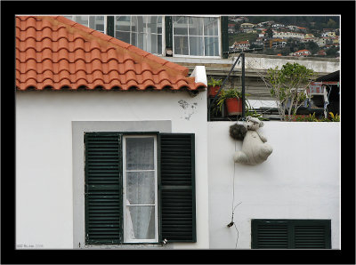 Madeira_Funchal_18.jpg