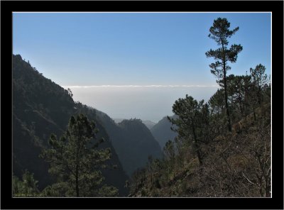Madeira_Landscapes +_10.jpg