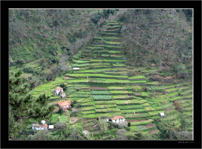 Madeira_Landscapes +_23.jpg