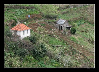 Madeira_Landscapes +_27.jpg