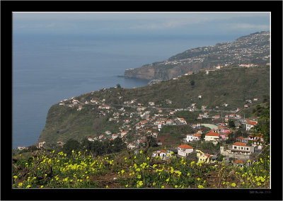 Madeira_Landscapes +_42.jpg