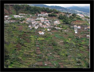 Madeira_Landscapes +_46.jpg