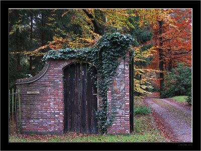 Lage Vuursche_Autumn_01.jpg