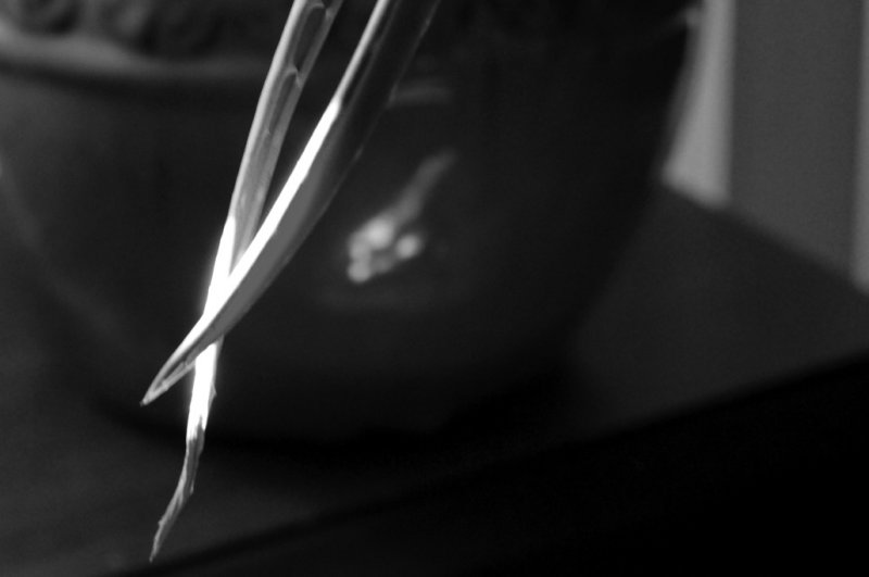 August 1: sunbeam