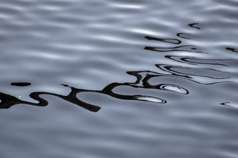 Syntax is meaning