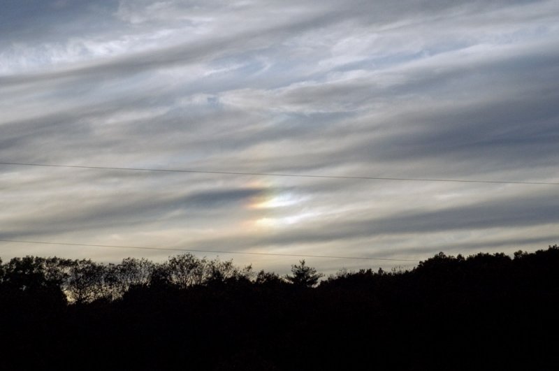 Sundog