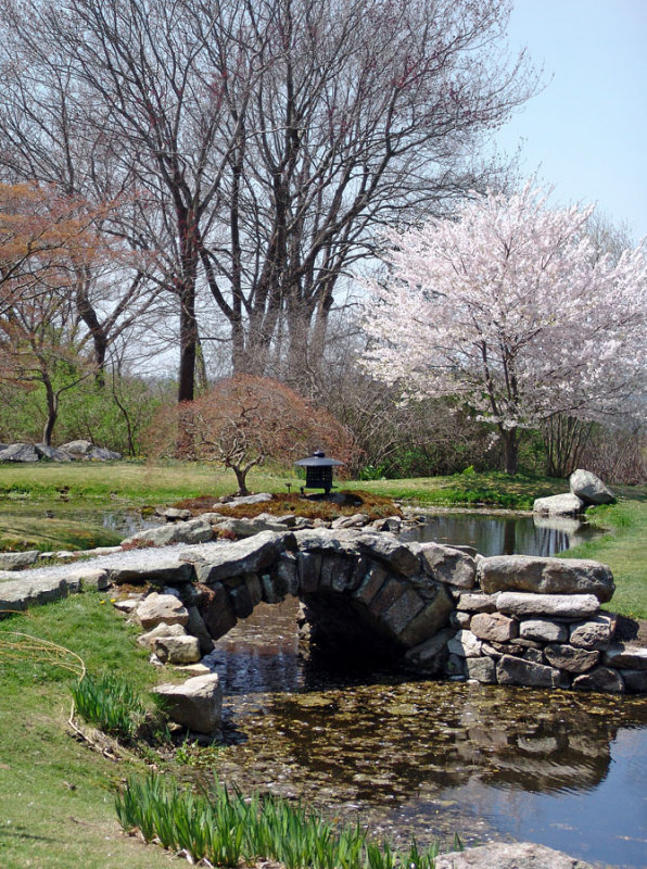 water garden