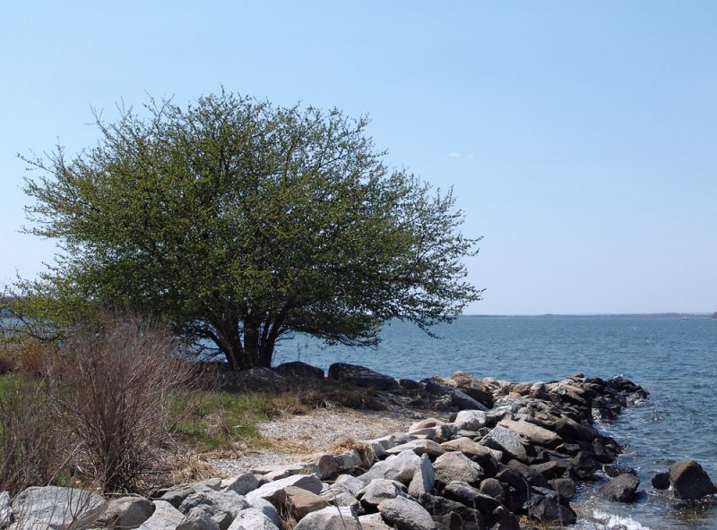 by the shore