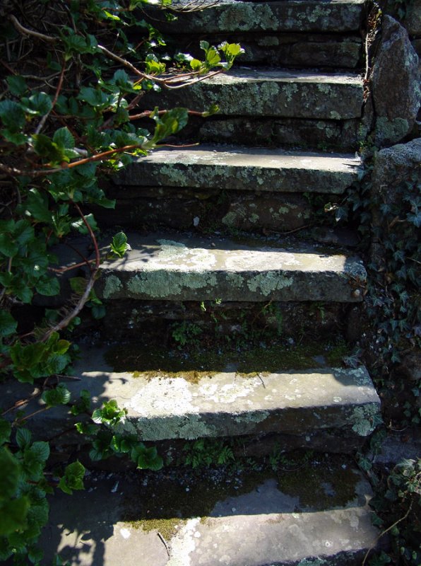 steps