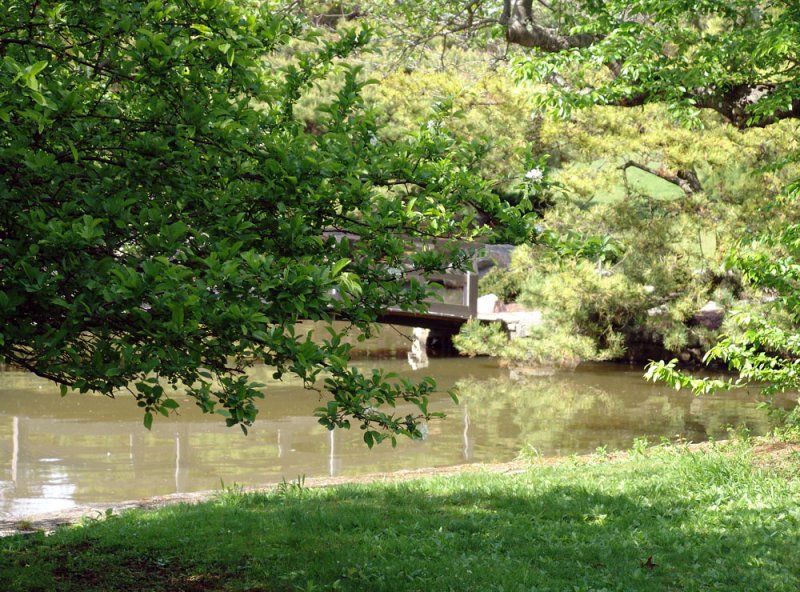 pond and footbridge