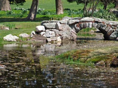 reflecting pond