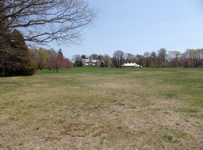 the great lawn