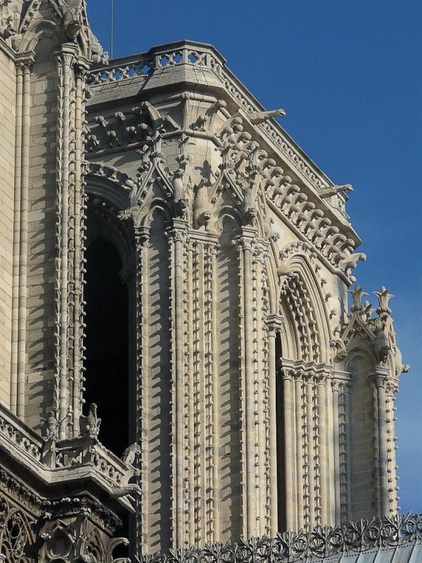 Paris 11102008-1230578-detail Notre-Dame.jpg
