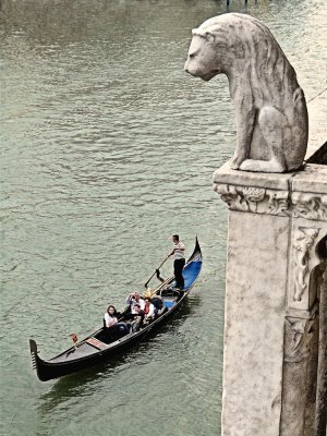 Lwe in Venedig -1160135.jpg