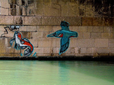 20080629_17.JPG