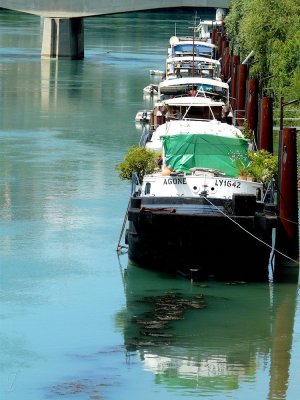 20080629_38.JPG