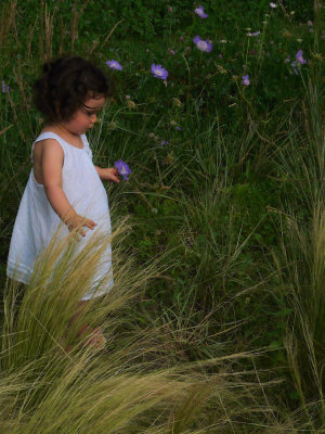 20080629_70.JPG