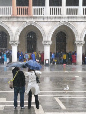 Venezia la pioggia-1150448.jpg