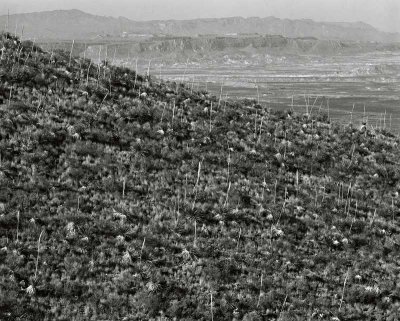 Below Sotol Vista, Big Bend National Park, Texas   19811101