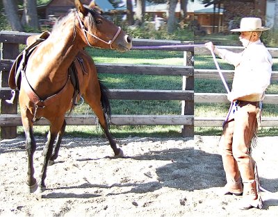 Training Isabelita to disengage hindquarter