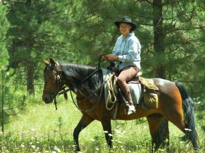 Ann on 3 year old Shiloh, Paso Fino