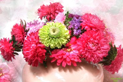 zinnias and asters