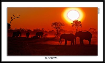 DUST BOWL