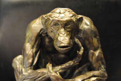 Bart Walter chimp 2.jpg
