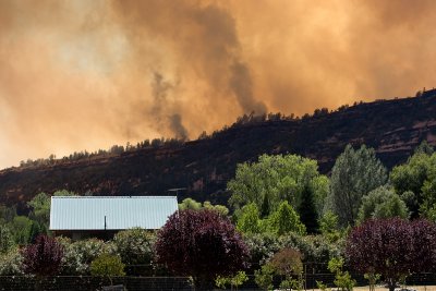 In Butte Canyon looking up at the fire