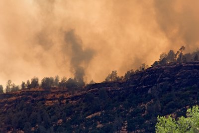 In Butte Canyon looking up at the fire