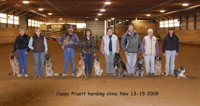 Herding Nov 13-15 2009