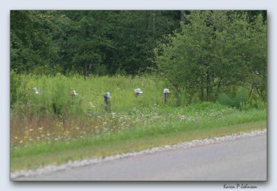 A fencepost family