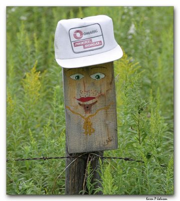 fence11_8125w.jpg