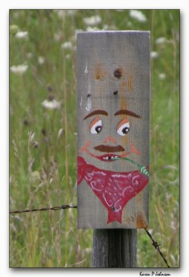 fence16_8137w.jpg