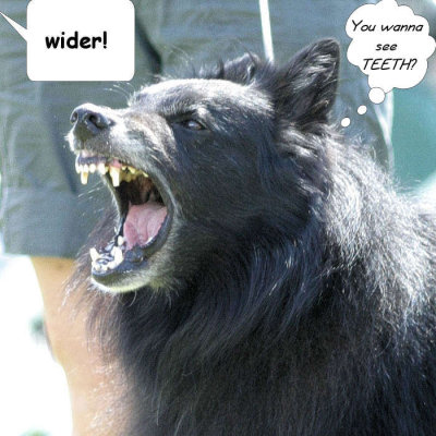 g5/72/459272/3/99125914.juUdthzy.jpg
