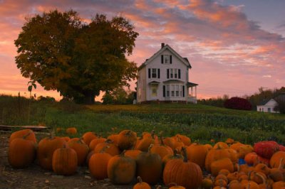 Autumn harvest 2008