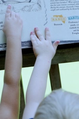 IMG018.jpg