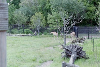 IMG002.jpg